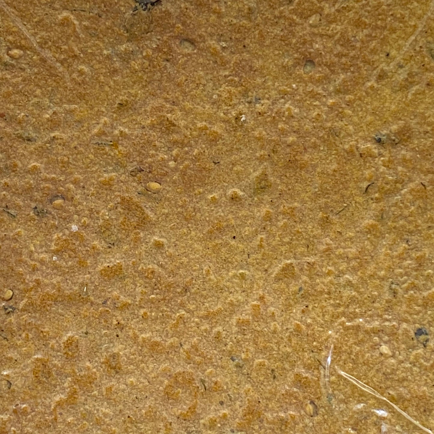 Diet Oats Khakhra